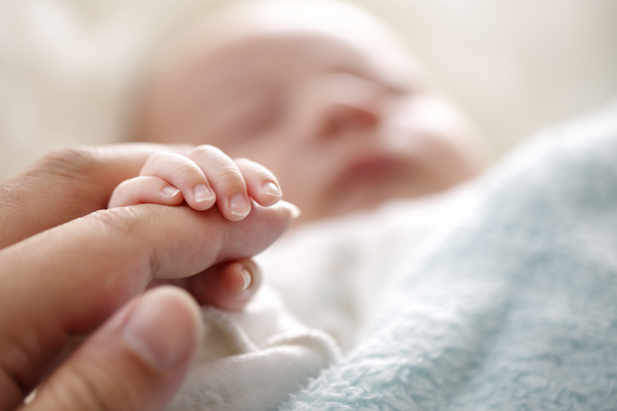 istock-905836972-safe.9.697664613e127