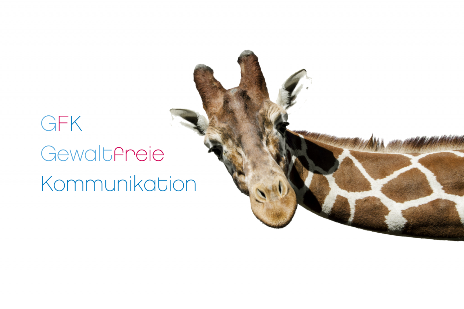 gfk-gewaltfreie-kommunikation.29.69a1899706081